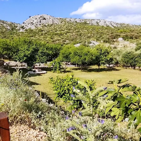 The Garden Of Elais Holiday home *