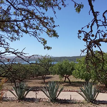 The Garden Of Elais