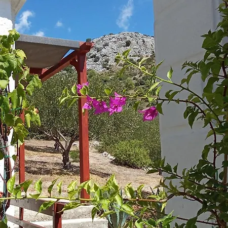 The Garden Of Elais