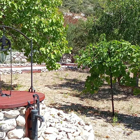 The Garden Of Elais *