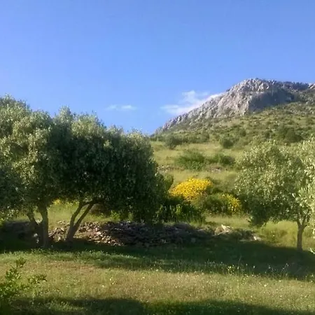 The Garden Of Elais Semesterbostad