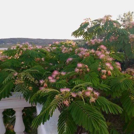 The Garden Of Elais Feriehus Šibenik