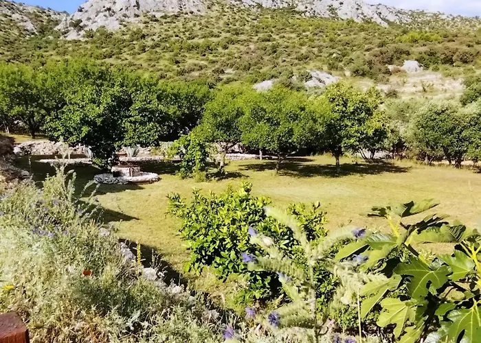 The Garden Of Elais Σπίτι διακοπών *