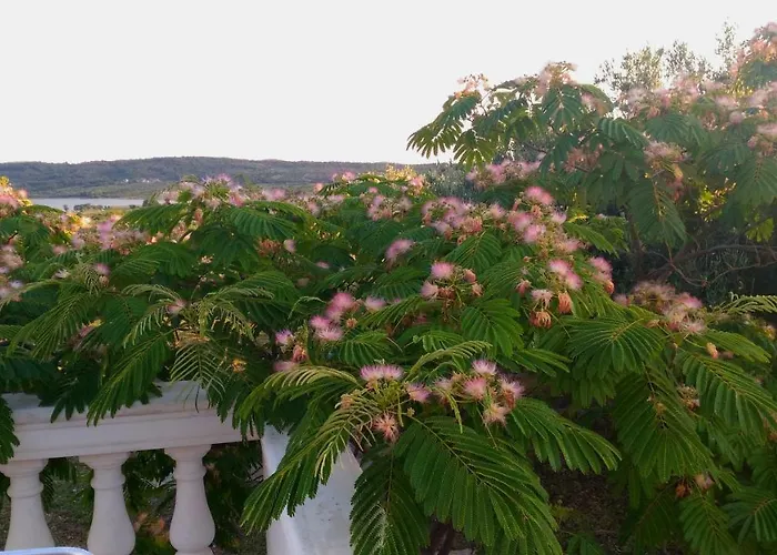 The Garden Of Elais Σπίτι διακοπών Σίμπενικ